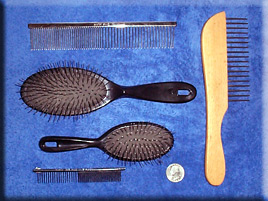 Photo of various combs and brushes