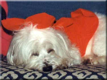 Photo of Gabbie asleep in Halloween outfit