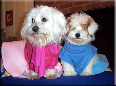 Photo of Lilyand Rory in poodle skirts