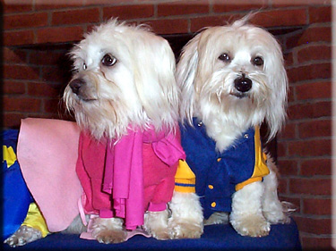 Photo of Lily and Gabrielle dressed for the sock hop