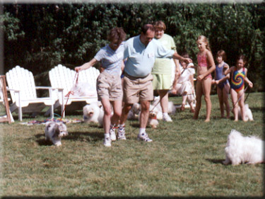 The eleven-legged race