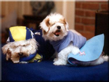 Photo of Rory in a poodle skirt