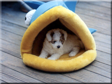 Photo of Rory in fish bed